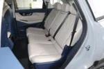 Chery Fengyun T9 - Image 10