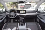 Volkswagen Lamando L - Image 5