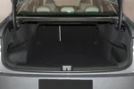 Volkswagen Magotan - Image 12