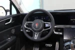Hongqi E-HS9 - Image 6