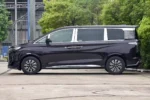Hongqi HQ9 PHEV - Image 3