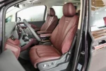 Hongqi HQ9 PHEV - Image 9